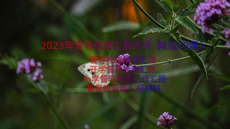 2023年督导检查汇报咋写（精选20篇）