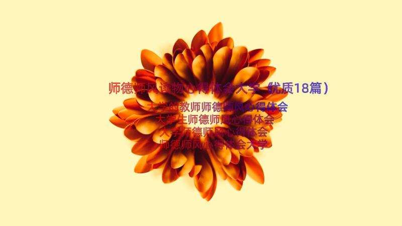 师德师风读物心得体会大学（优质18篇）