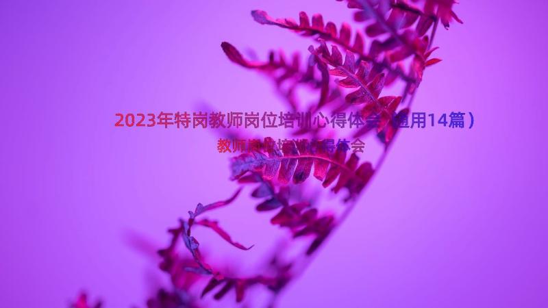 2023年特岗教师岗位培训心得体会（通用14篇）