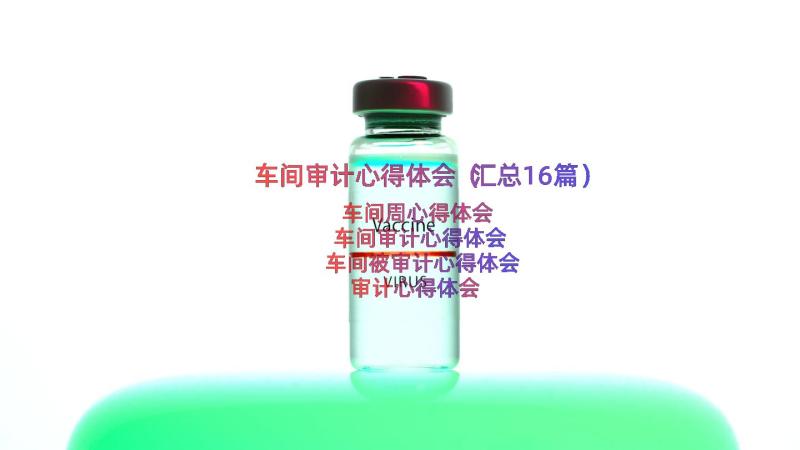 车间审计心得体会（汇总16篇）