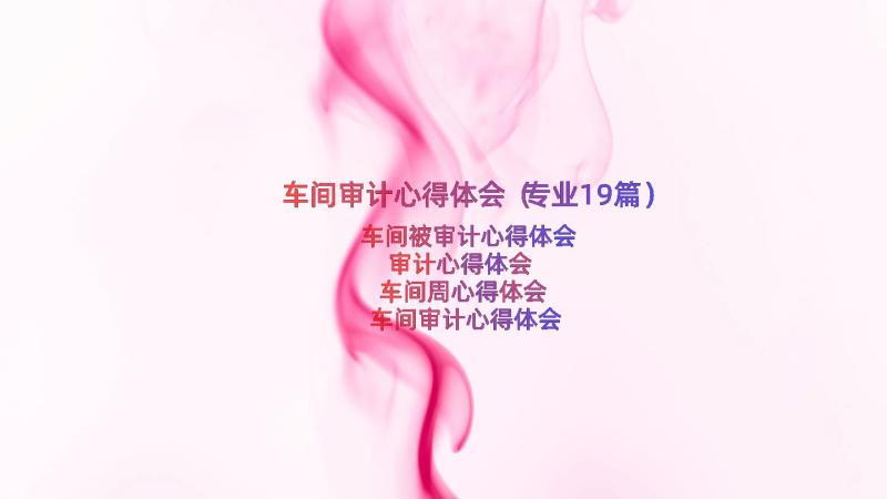 车间审计心得体会（专业19篇）