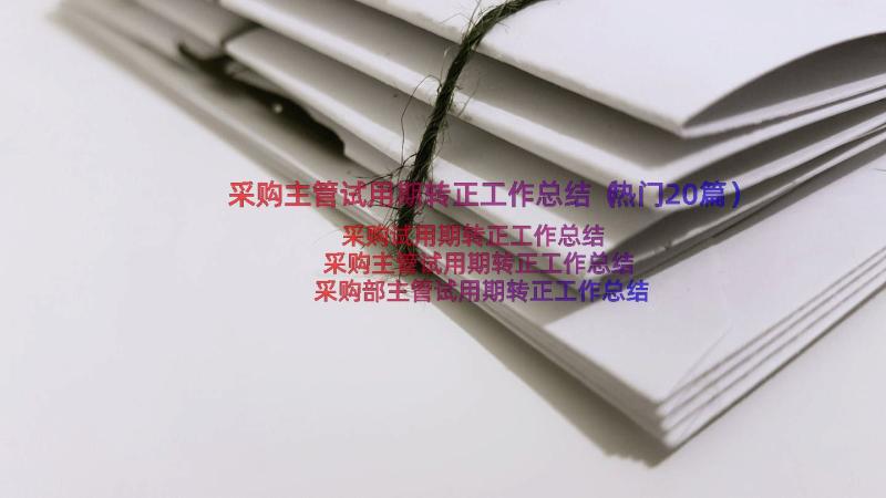 采购主管试用期转正工作总结（热门20篇）