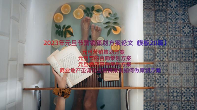 2023年元旦节营销策划方案论文（模板20篇）