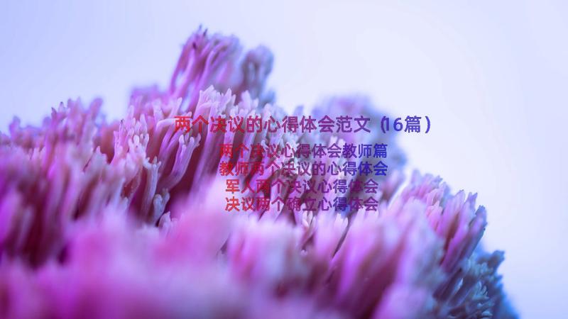 两个决议的心得体会范文（16篇）