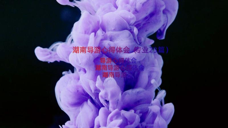 湖南导游心得体会（专业23篇）