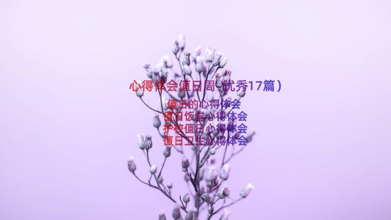 心得体会值日周（优秀17篇）