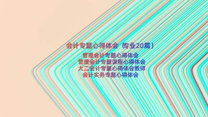 会计专题心得体会（专业20篇）