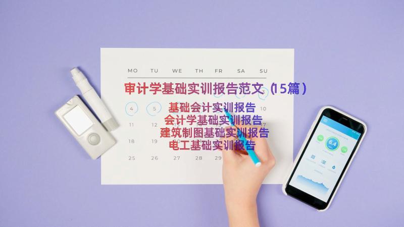 审计学基础实训报告范文（15篇）