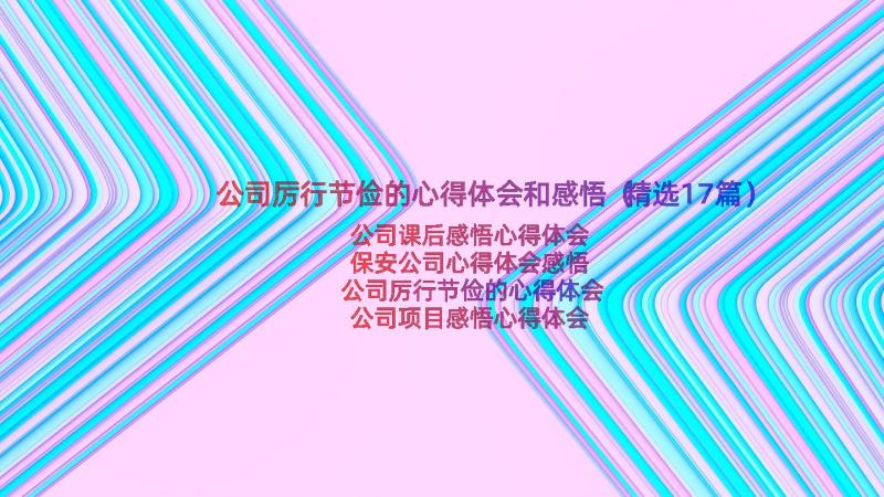 公司厉行节俭的心得体会和感悟（精选17篇）