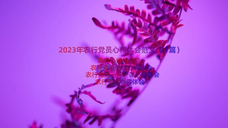 2023年农行党员心得体会范文（21篇）