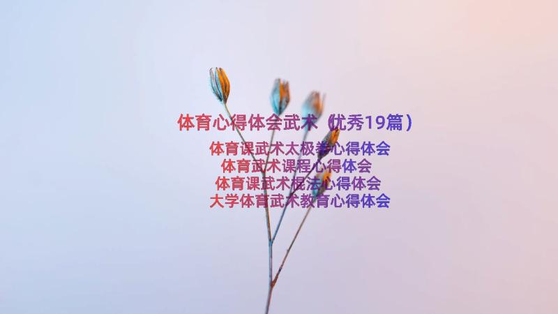 体育心得体会武术（优秀19篇）