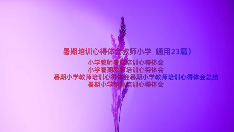 暑期培训心得体会教师小学（通用23篇）