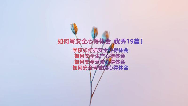 如何写安全心得体会（优秀19篇）