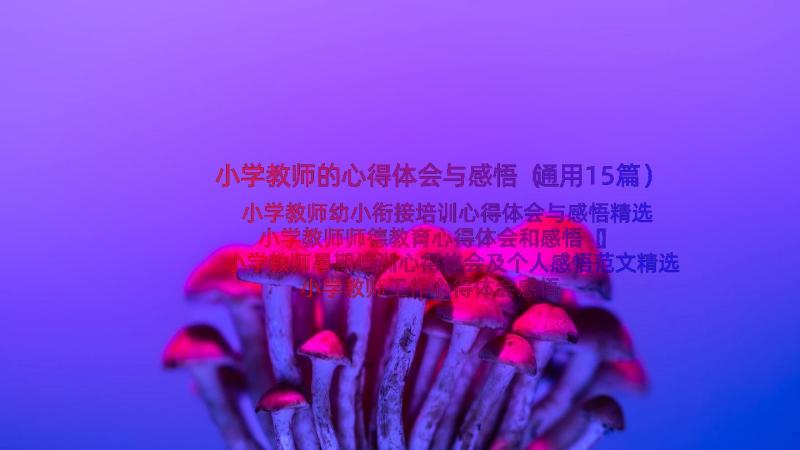 小学教师的心得体会与感悟（通用15篇）