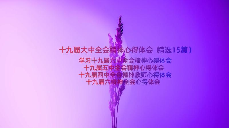 十九届大中全会精神心得体会（精选15篇）