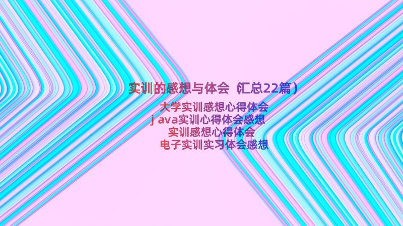 实训的感想与体会（汇总22篇）