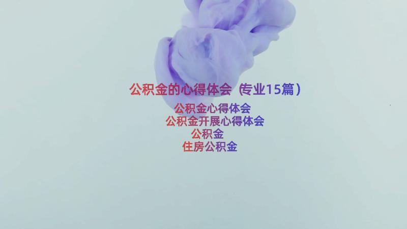 公积金的心得体会（专业15篇）