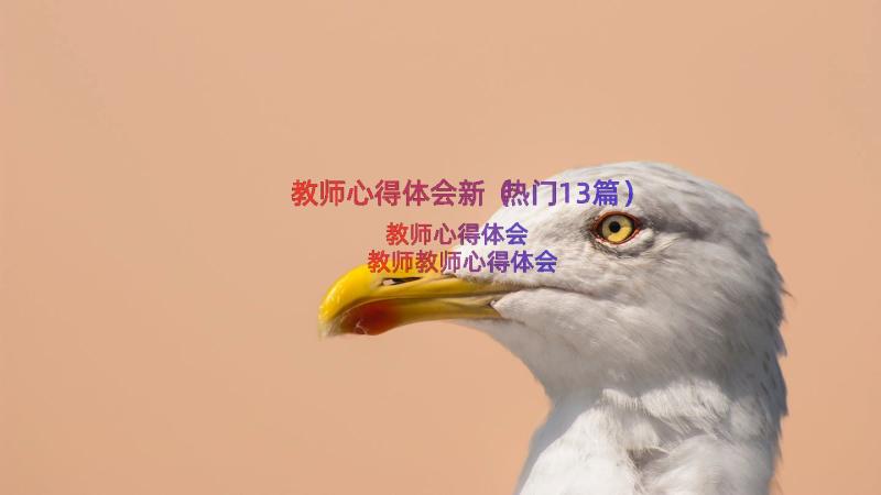 教师心得体会新（热门13篇）