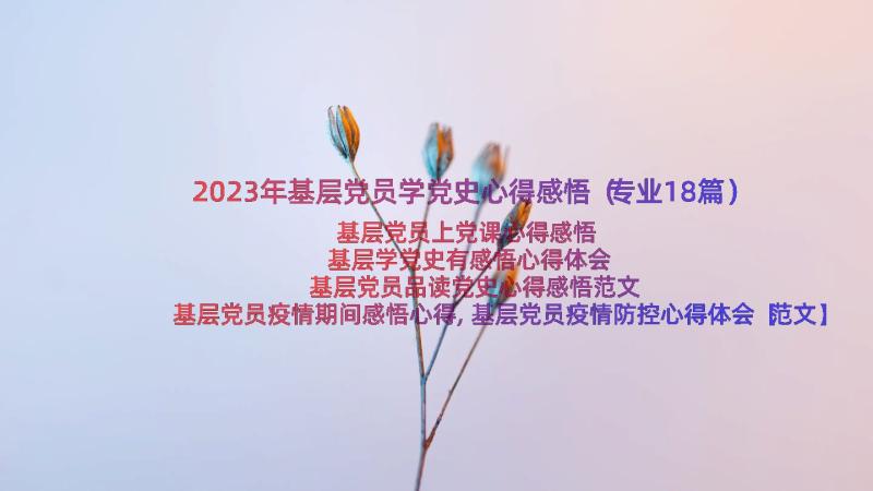 2023年基层党员学党史心得感悟（专业18篇）