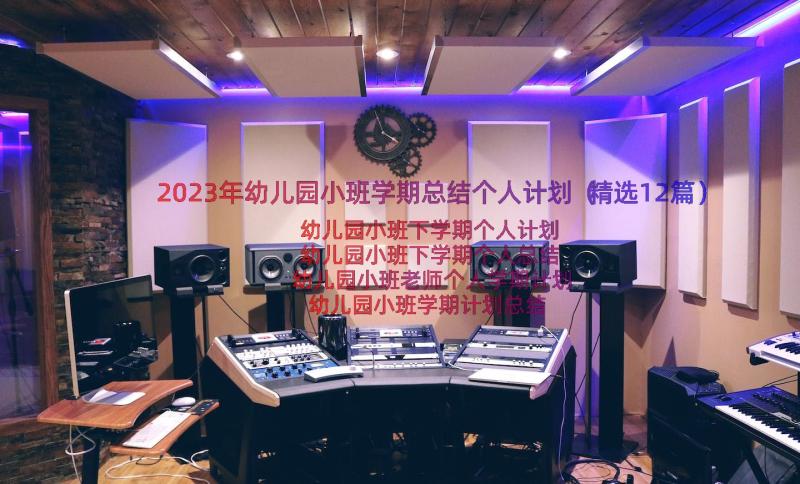 2023年幼儿园小班学期总结个人计划（精选12篇）