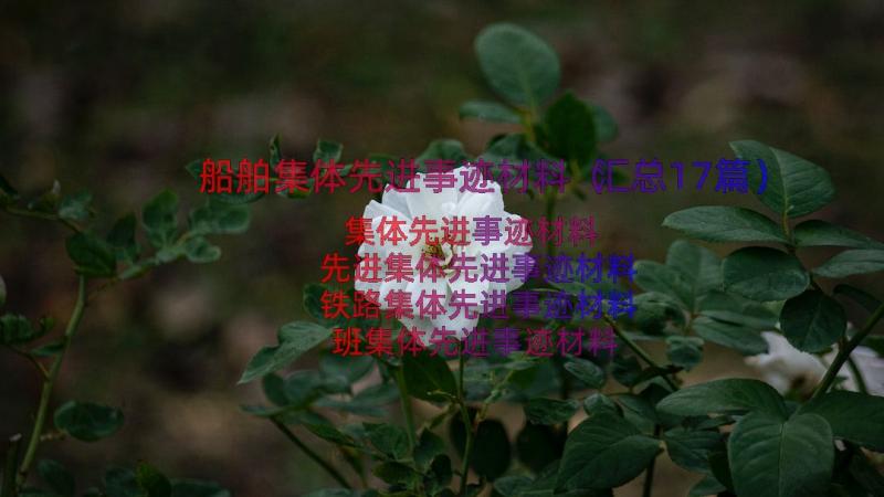 船舶集体先进事迹材料（汇总17篇）