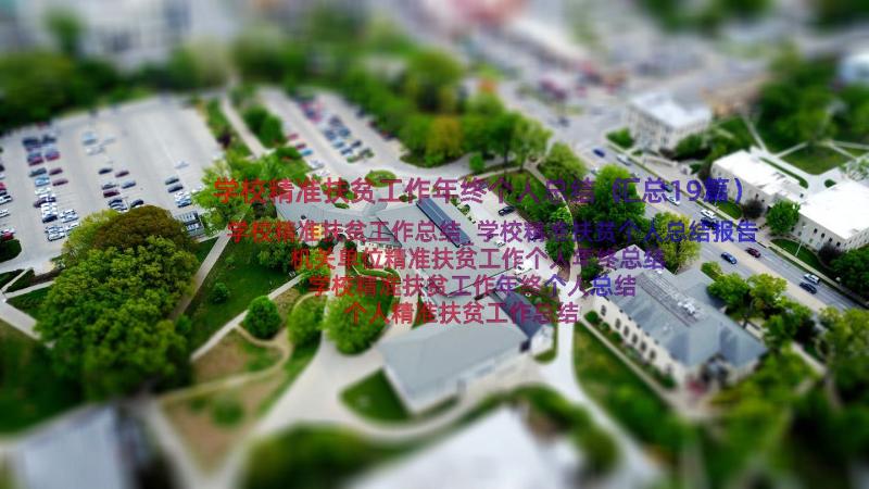 学校精准扶贫工作年终个人总结（汇总19篇）