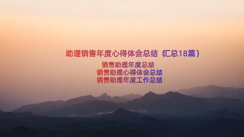 助理销售年度心得体会总结（汇总18篇）