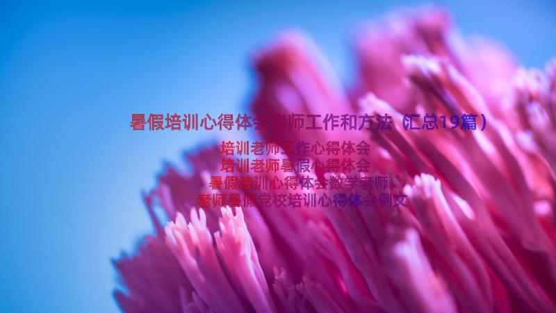 暑假培训心得体会老师工作和方法（汇总19篇）