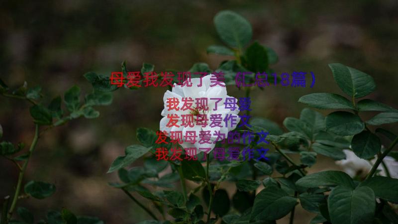 母爱我发现了美（汇总18篇）