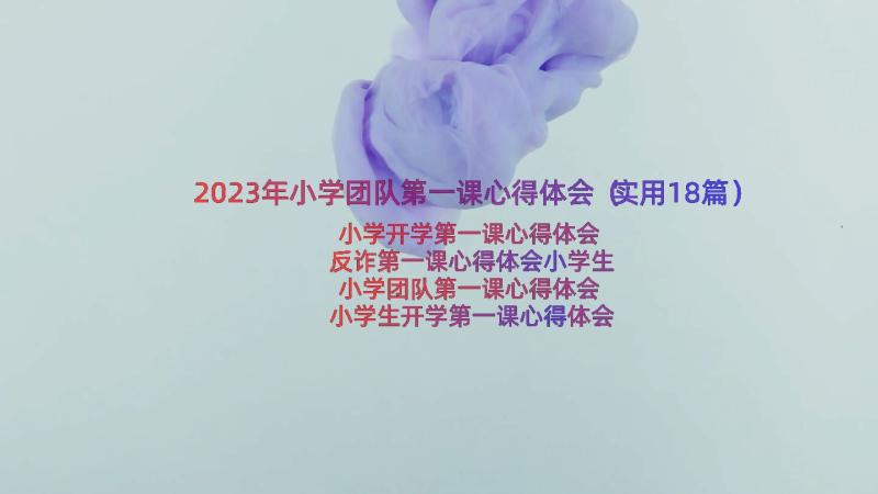 2023年小学团队第一课心得体会（实用18篇）