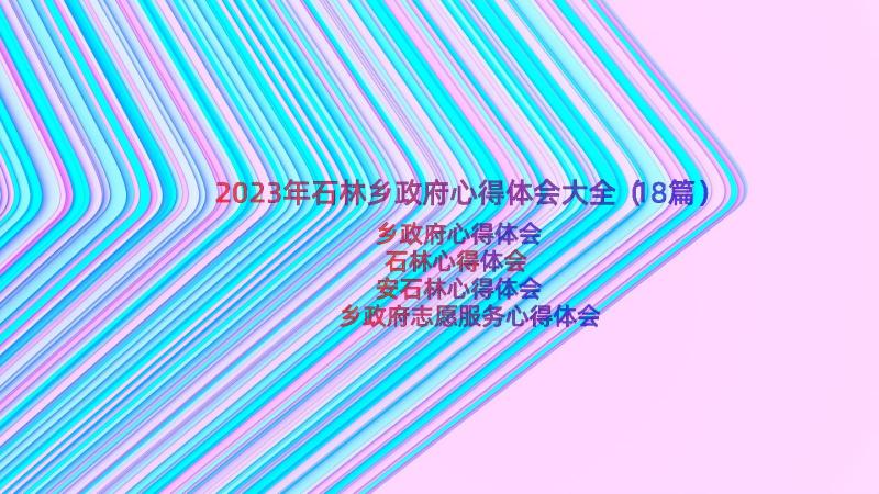 2023年石林乡政府心得体会大全（18篇）