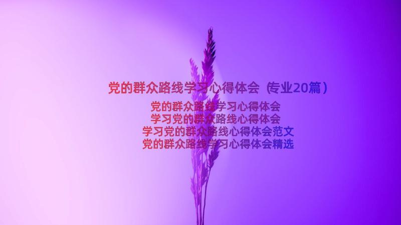 党的群众路线学习心得体会（专业20篇）