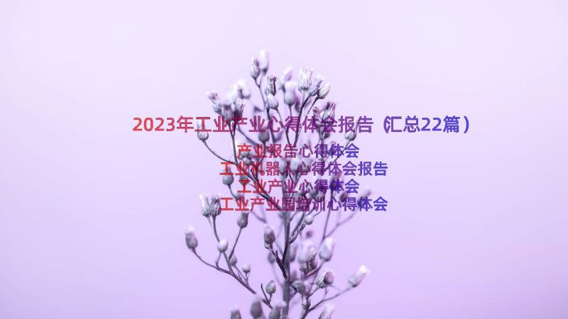 2023年工业产业心得体会报告（汇总22篇）