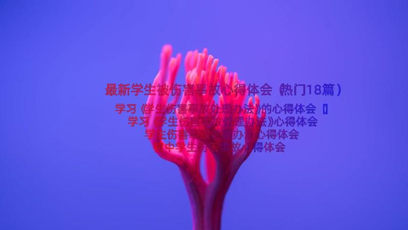 最新学生被伤害事故心得体会（热门18篇）