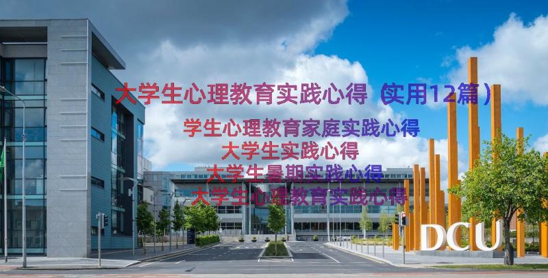 大学生心理教育实践心得（实用12篇）