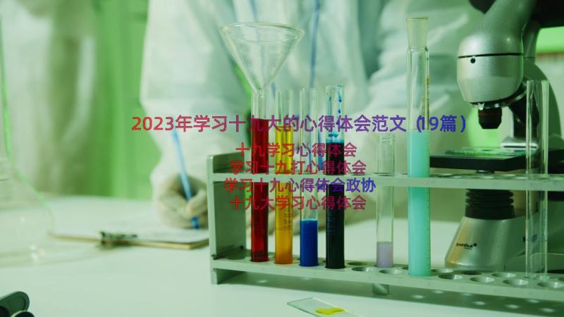 2023年学习十九大的心得体会范文（19篇）