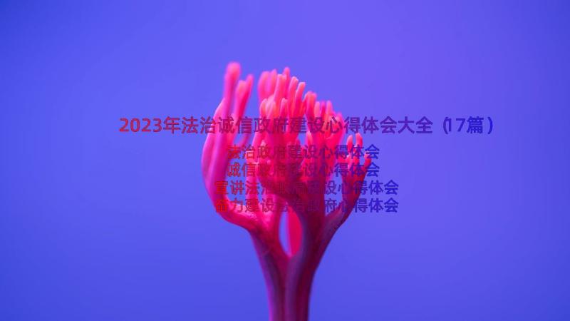 2023年法治诚信政府建设心得体会大全（17篇）