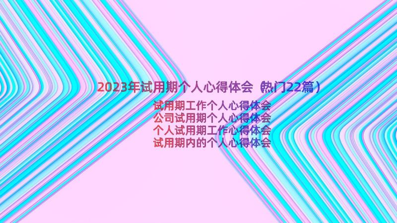 2023年试用期个人心得体会（热门22篇）