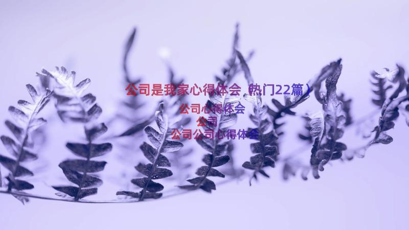 公司是我家心得体会（热门22篇）