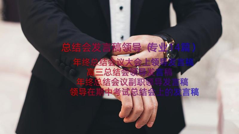 总结会发言稿领导（专业14篇）