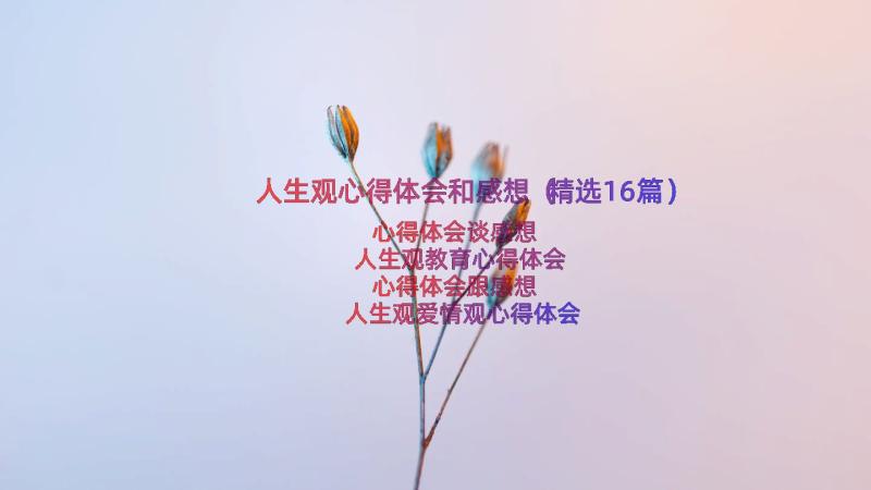 人生观心得体会和感想（精选16篇）