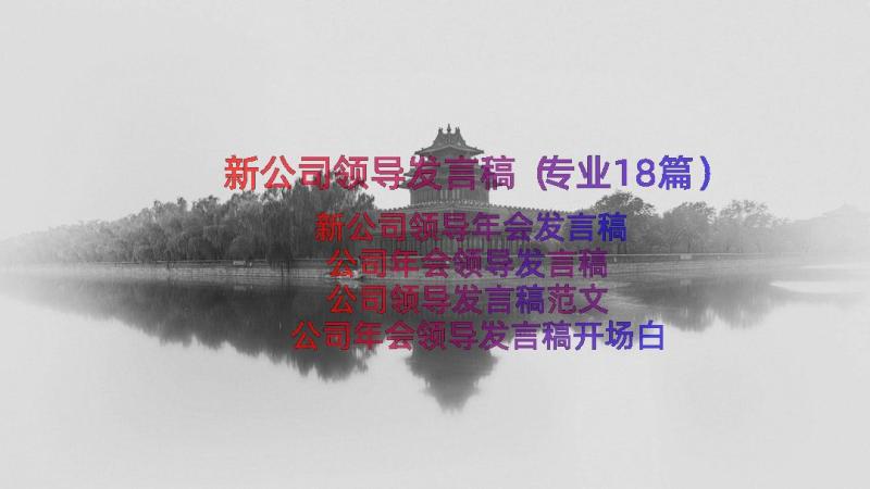 新公司领导发言稿（专业18篇）