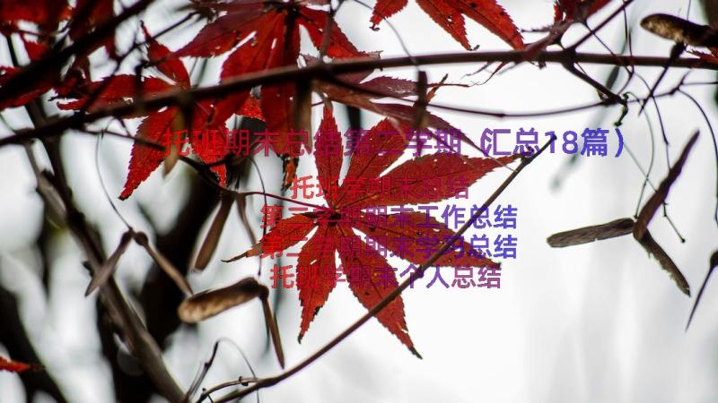 托班期末总结第二学期（汇总18篇）