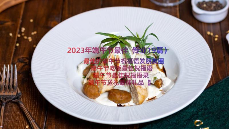 2023年端午节最佳（专业19篇）