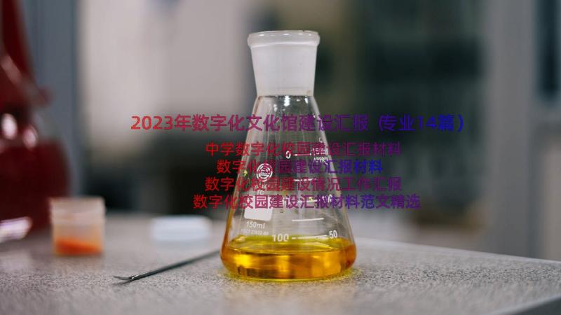 2023年数字化文化馆建设汇报（专业14篇）