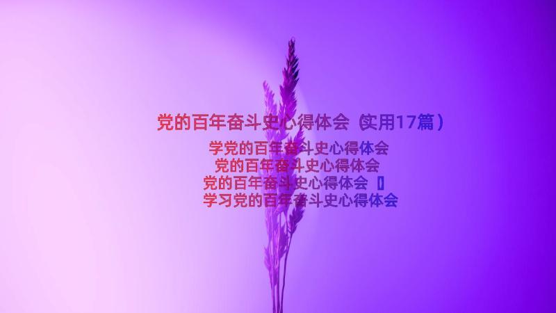 党的百年奋斗史心得体会（实用17篇）