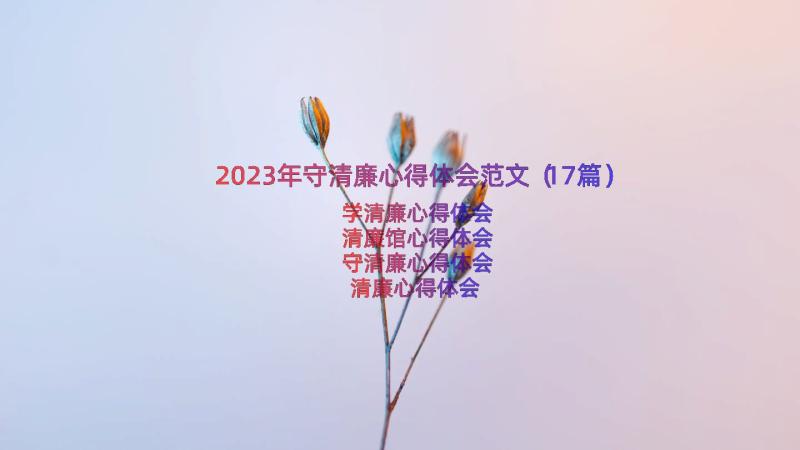 2023年守清廉心得体会范文（17篇）