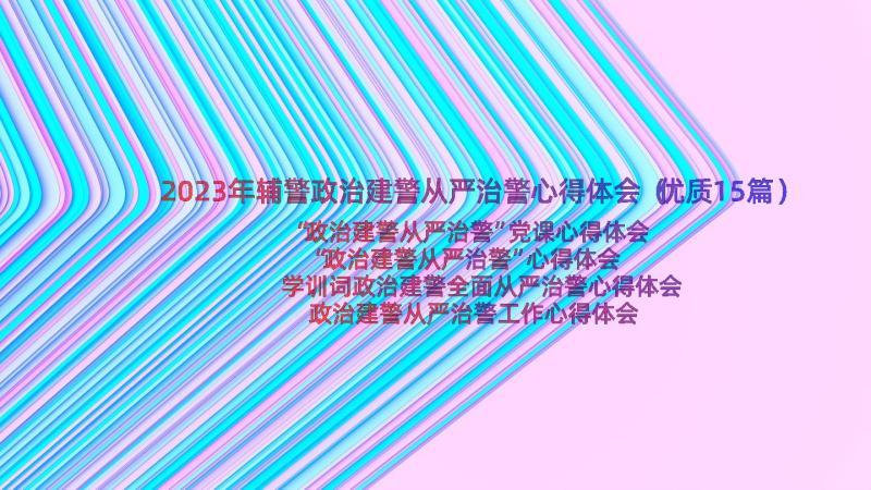 2023年辅警政治建警从严治警心得体会（优质15篇）