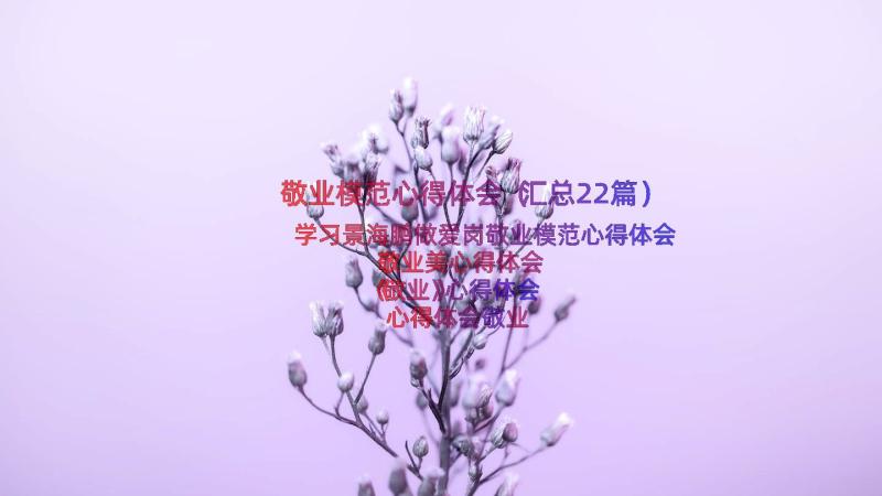 敬业模范心得体会（汇总22篇）