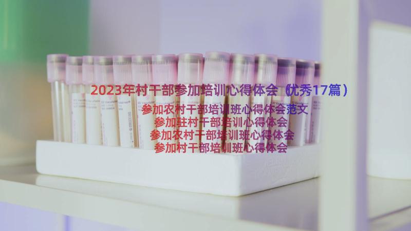 2023年村干部参加培训心得体会（优秀17篇）